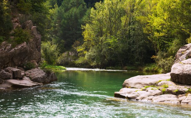 Mountains river with rocky riverside. Llobregat, Pyrenees